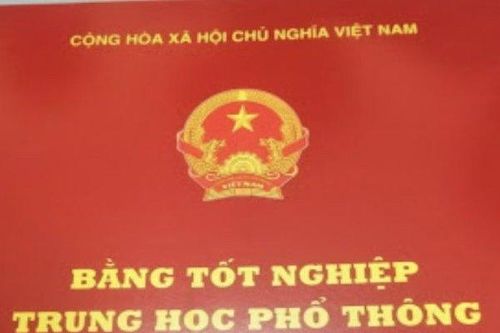 Gia Lai: Cách mọi chức vụ trong Đảng với 9 cán bộ sử dụng bằng giả