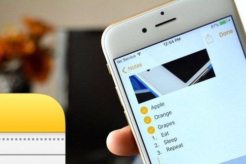 Chỉ một cú lắc, lấy lại ngay được đoạn văn bản vừa lỡ tay xóa trên iPhone