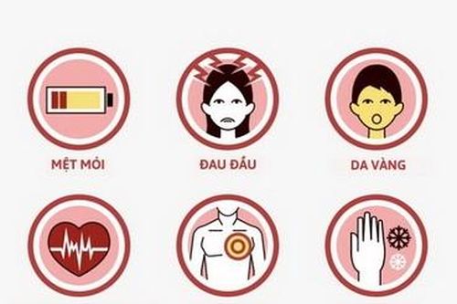 Giải pháp cho người thiếu máu