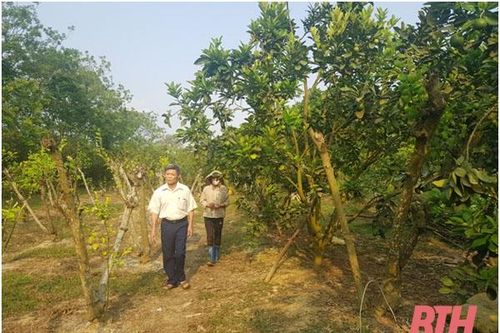 'Bảy tốt đời, ba đẹp đạo' trong đồng bào công giáo huyện Yên Định