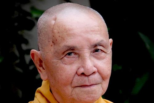Trưởng lão Hòa thượng Thích Thiện Duyên, Phó Pháp chủ GHPGVN vừa viên tịch