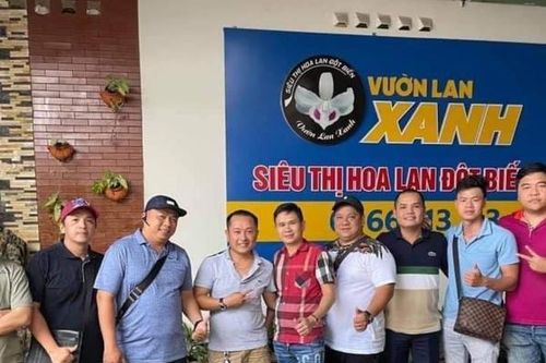 Nghệ nhân Văn Tài chia sẻ hữu ích về cách nhân giống hoa lan rừng khỏe mạnh