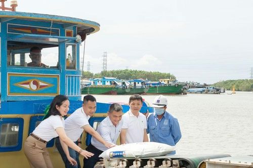 Lô hàng NPK Cà Mau đầu tiên: Thêm lựa chọn, tăng lợi ích cho nhà nông