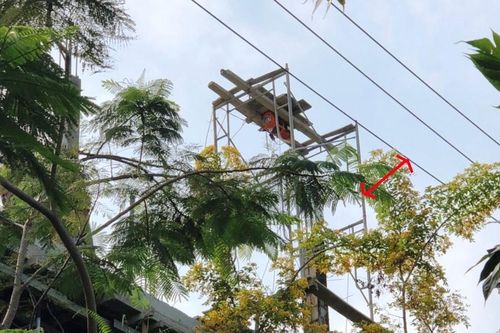Giỡn mặt với điện cao thế