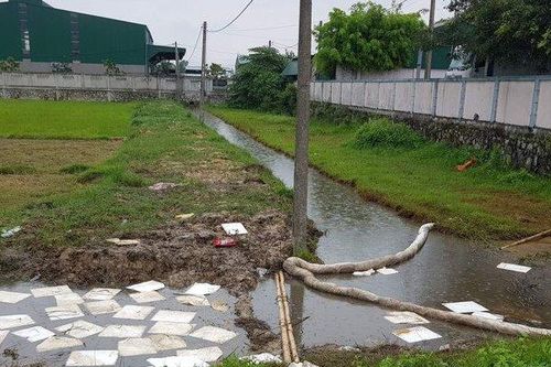 Hà Tĩnh: Xử lý sự cố tràn dầu từ cây xăng ra cánh đồng lúa
