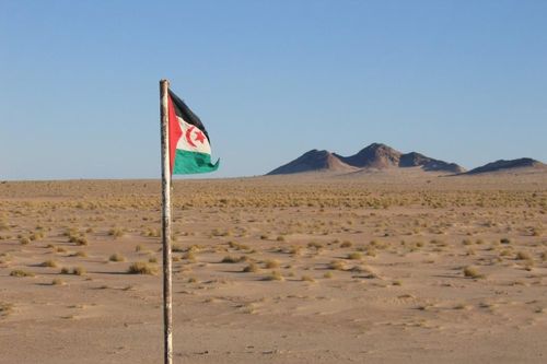Việt Nam kêu gọi các bên xung đột ở Tây Sahara sớm quay lại đàm phán