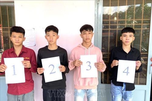 Đồng Nai: Khẩn trương điều tra vụ án giết người xảy ra ở huyện Xuân Lộc