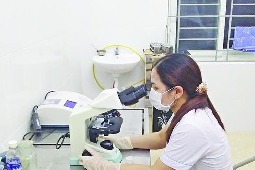 Chung tay hoàn thành mục tiêu loại trừ sốt rét ra khỏi cộng đồng