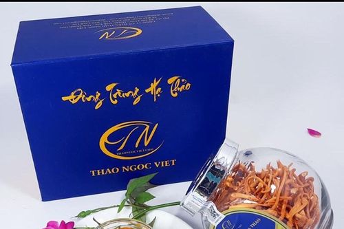 Bí quyết dùng Đông trùng hạ thảo cho hiệu quả như ý
