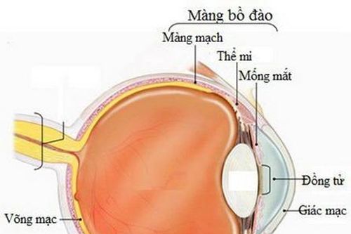 Khả quan về loại thuốc mới trị ung thư mắt hiếm gặp