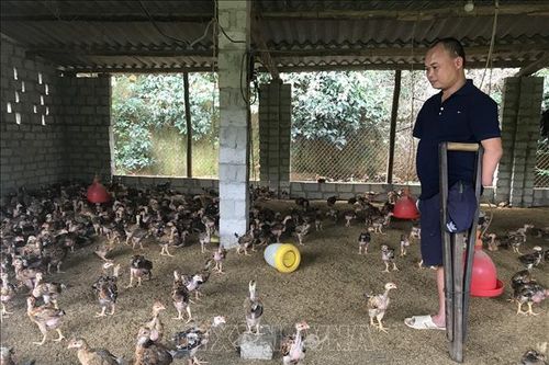 Nghị lực vươn lên của người đàn ông bị tai nạn mất 2 tay và 1 chân