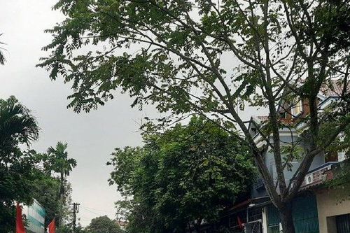 Nữ sinh òa khóc 'cầu cứu' cô giáo vì bị kẻ xấu dùng ảnh 'nóng' đe dọa