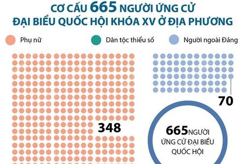 Cơ cấu 665 người ứng cử đại biểu Quốc hội khóa XV ở địa phương