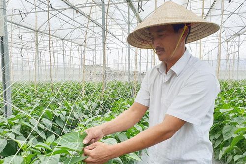 Ứng dụng công nghệ cao xây dựng nông thôn mới kiểu mẫu