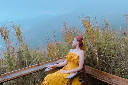 Không gian cà phê mới tại Đà Lạt