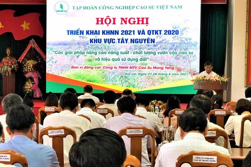 Tập đoàn Công nghiệp Cao su Việt Nam triển khai kế hoạch nông nghiệp năm 2021