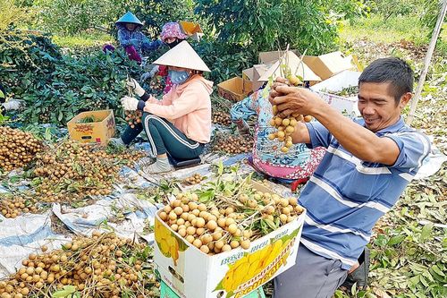 Cuộc sống hôm nay trên quê hương cách mạng