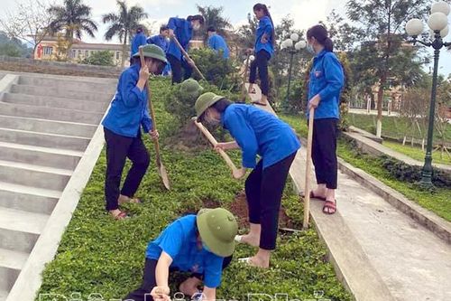 Hưởng ứng trồng cây 'vì một Việt Nam xanh'