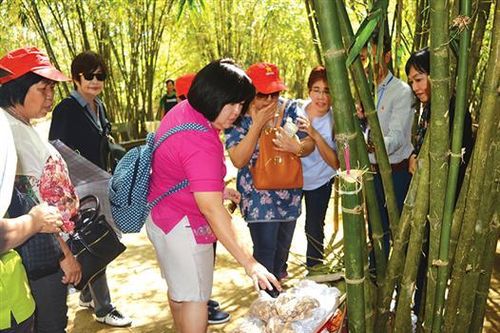 Cần gắn kết sản phẩm nông sản với phát triển du lịch