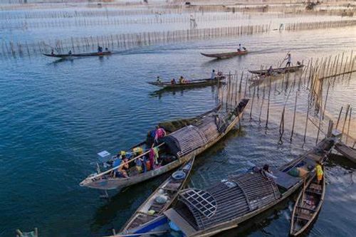 Đầm phá Tam Giang: Điểm du lịch trải nghiệm không thể bỏ qua khi đến Huế