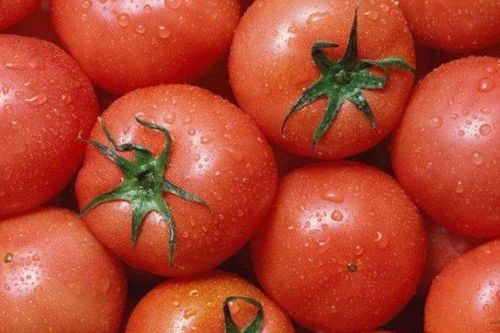 Muốn chọn được cà chua tươi ngon, mọng nước cần xem kỹ 4 điểm này