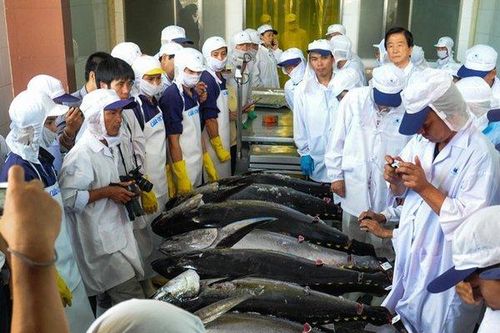 Cả làng đi câu cá, thu tiền khủng nghìn tỷ mỗi năm