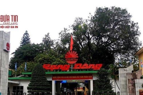 Hai năm sau vụ cháy, Rạng Đông có trở lại từ đống tro tàn?