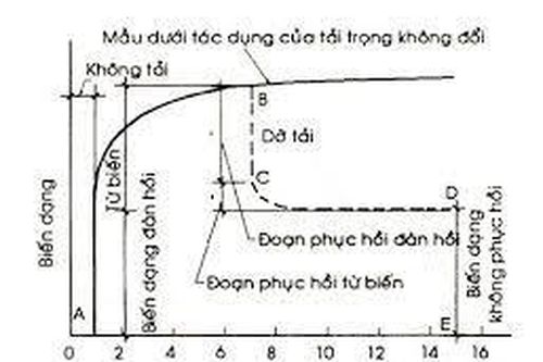 Bàn về từ biến của bê tông và ảnh hưởng của từ biến tới ứng xử dài hạn trên kết cấu công trình