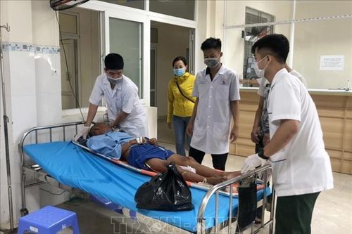 Khánh Hòa: Đưa một ngư dân bị đột quỵ vào bờ an toàn