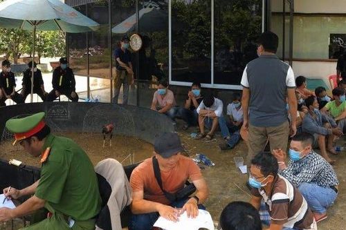 Huế: Triệt phá trường gà tại Village Garden 'Lộc Béo'