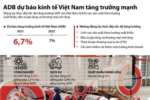 ADB dự báo kinh tế Việt Nam tăng trưởng mạnh mẽ
