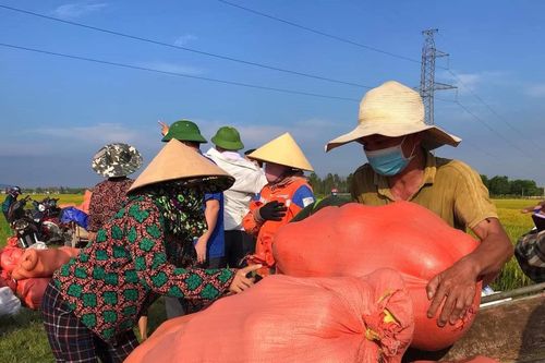 Cả thôn bị phong tỏa vì dịch Covid-19, cộng đồng chung tay giải cứu dưa