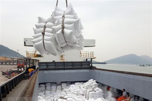 Bộ Nông nghiệp Mỹ dự báo Việt Nam sẽ tiếp tục đứng thứ 2 về xuất khẩu gạo