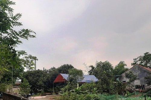 Vụ cháu bắn chú ruột tử vong: Tiết lộ bất ngờ về sổ 'tâm thần' và quá khứ bất hảo của nghi phạm