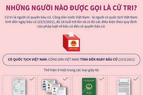 Những quy định về người được gọi là cử tri