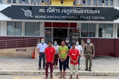 Tích cực hỗ trợ 5 ngư dân Việt Nam bị nạn trong vụ chìm tàu cá
