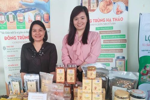 Phụ nữ vào cuộc sản xuất, kết nối tiêu thụ nông sản an toàn