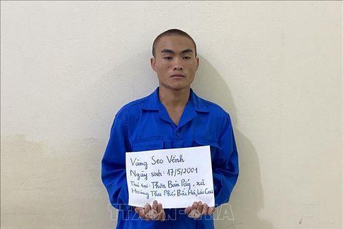 Khởi tố đối tượng giết em trai để giành quyền thừa kế