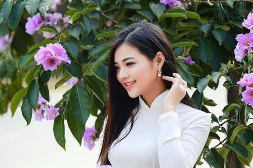 Đường phố Hà Nội đẹp nao lòng trong sắc hoa bằng lăng