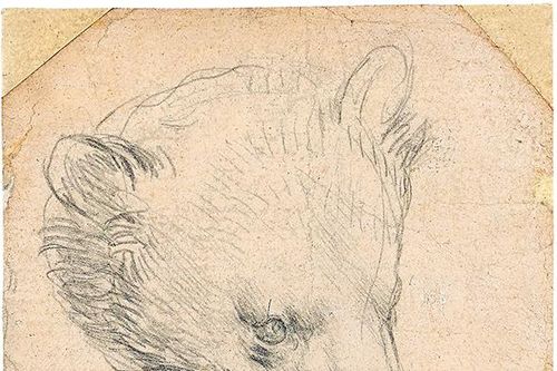 Tác phẩm Head of a Bear của Leonardo da Vinci được kỳ vọng bán với giá hơn 16 triệu USD