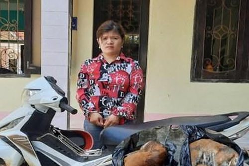 Người phụ nữ vận chuyển 2 cá thể beo lửa đi tiêu thụ