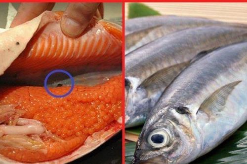 2 bộ phận không nên ăn ở cá, cẩn thận trúng độc