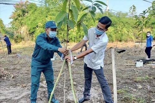 Thành phố mang tên Bác hưởng ứng Tết trồng cây