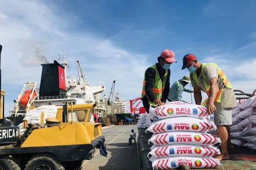 Kali Cà Mau – Nguồn cung chất lượng cho vụ hè thu 2021