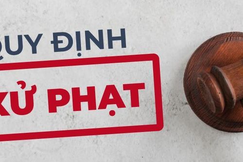 Cà Mau phạt cửa hàng bán thuốc bảo vệ thực vật, phân bón giả 120 triệu