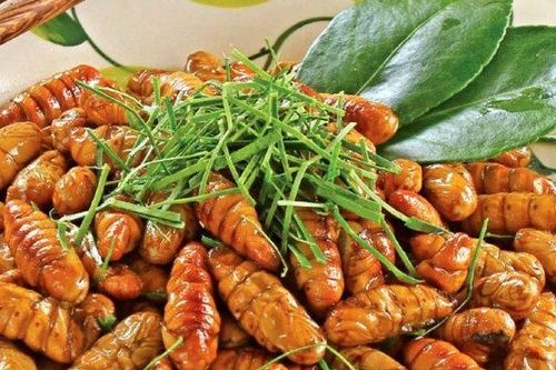 4 điều tối kỵ khi ăn nhộng tằm để không bị ngộ độc