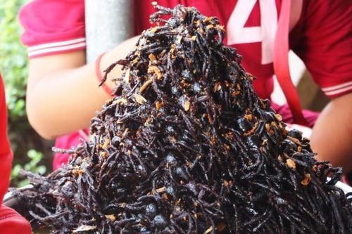 Bạn đã ăn côn trùng chưa?
