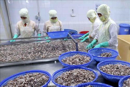 Kiên Giang: Xuất khẩu tăng gần 16%