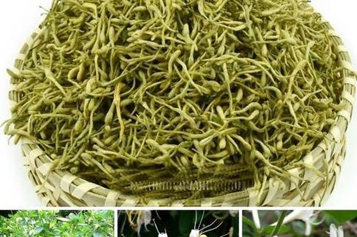 Bài thuốc trừ ho hóa đờm thanh phế khí