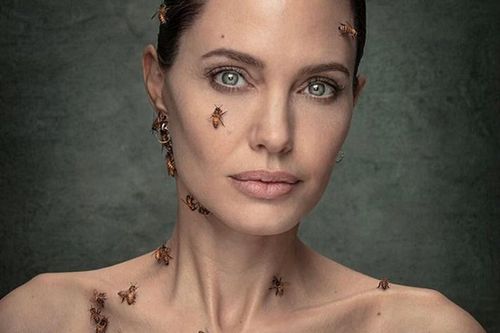 Loài ong nguy cấp sao khiến Angelina Jolie ba ngày không tắm để tuyên truyền